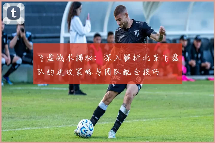 飞盘战术揭秘：深入解析北京飞盘队的进攻策略与团队配合技巧