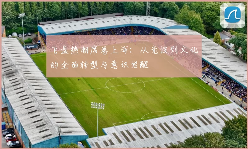 飞盘热潮席卷上海：从竞技到文化的全面转型与意识觉醒