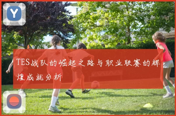 TES战队的崛起之路与职业联赛的辉煌成就分析