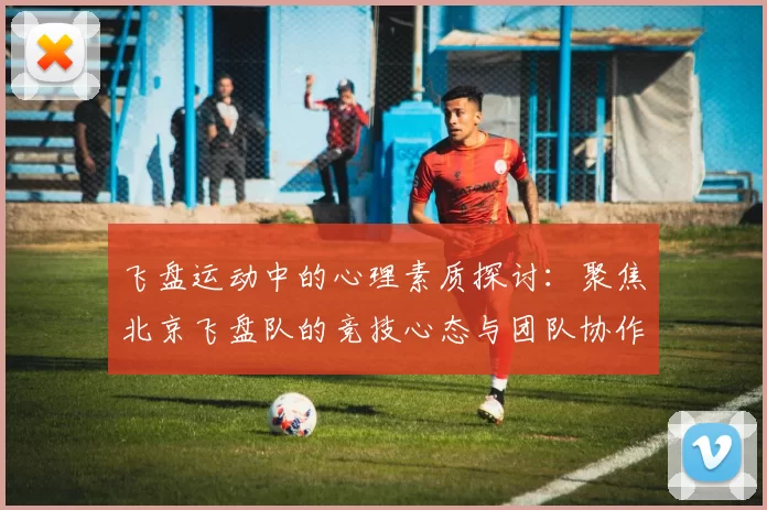 飞盘运动中的心理素质探讨：聚焦北京飞盘队的竞技心态与团队协作