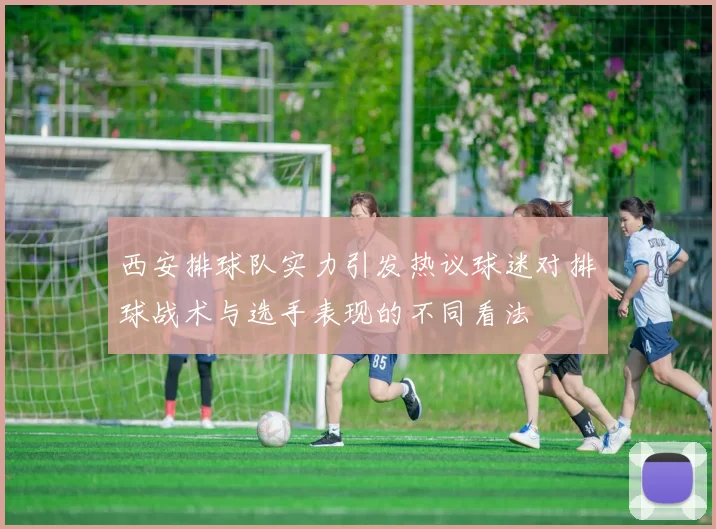 西安排球队实力引发热议球迷对排球战术与选手表现的不同看法