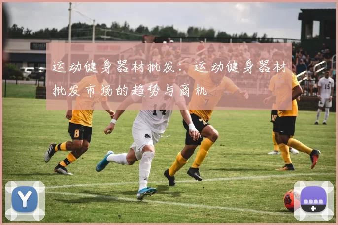 运动健身器材批发：运动健身器材批发市场的趋势与商机