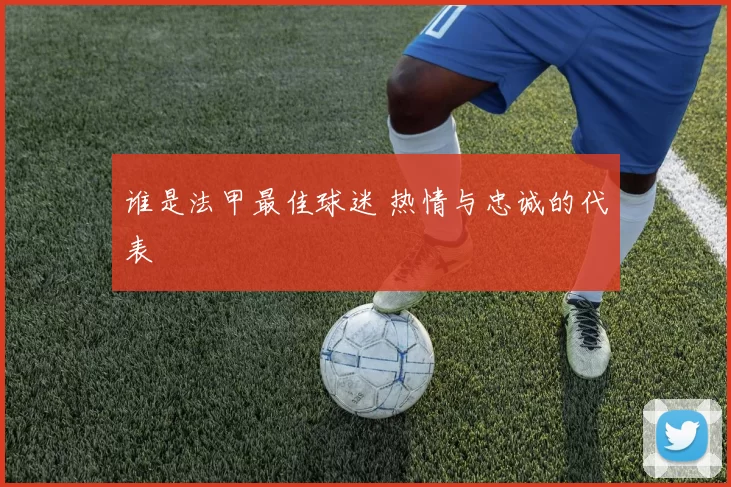 谁是法甲最佳球迷 热情与忠诚的代表