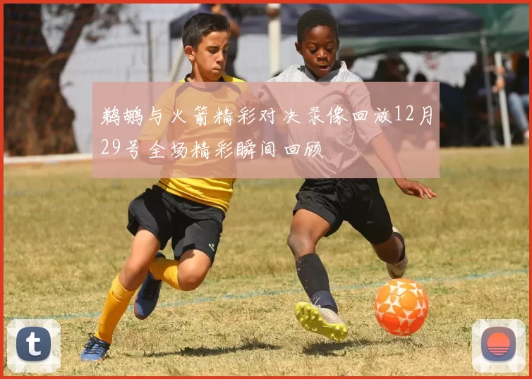 鹈鹕与火箭精彩对决录像回放12月29号全场精彩瞬间回顾