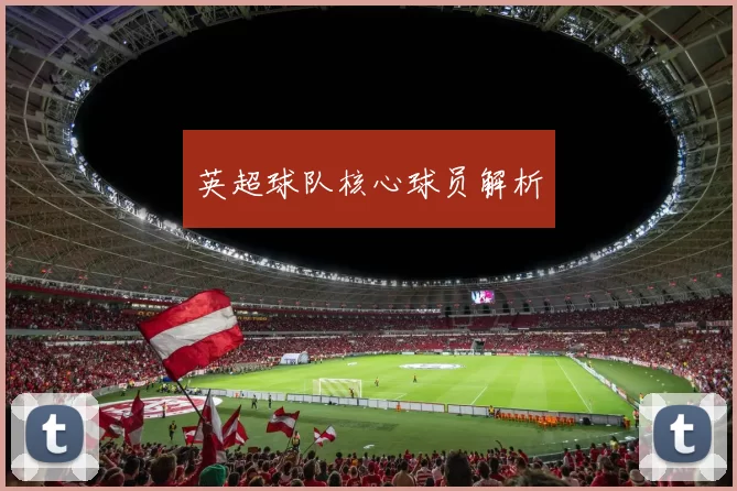 英超球队核心球员解析