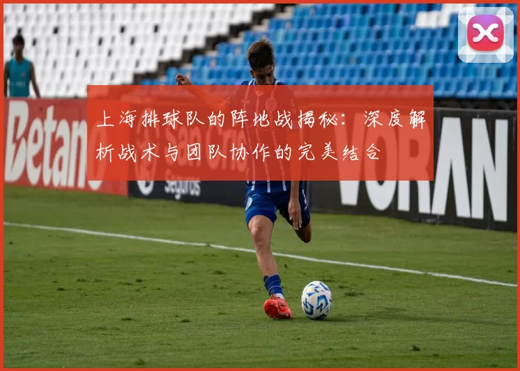 上海排球队的阵地战揭秘：深度解析战术与团队协作的完美结合
